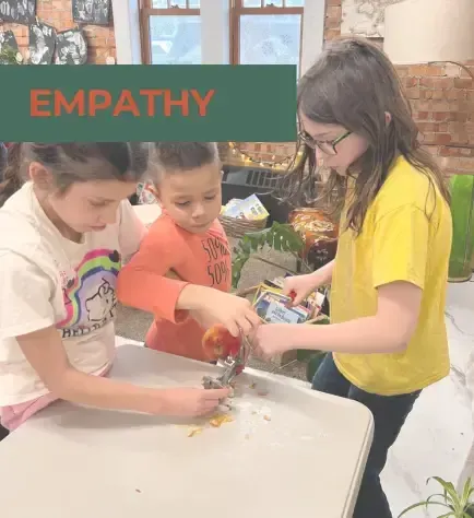 3 (6) (1)