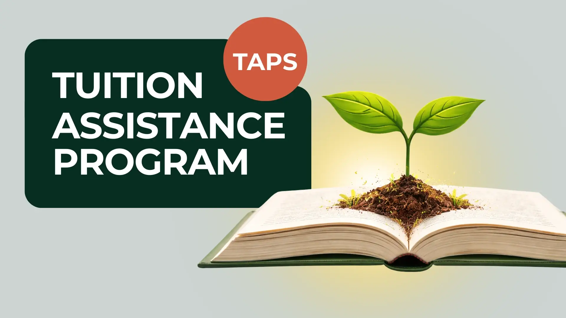 Tuition Assistance Program Background